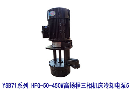 YSB71系列 HFG-50-450W高揚(yáng)程三相機(jī)床冷卻電泵5